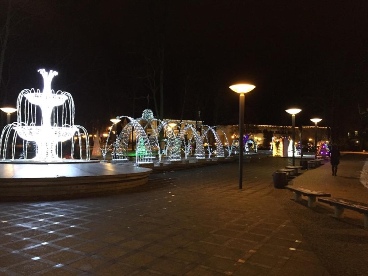 Lux Apartment Druskininkai Dış mekan fotoğraf
