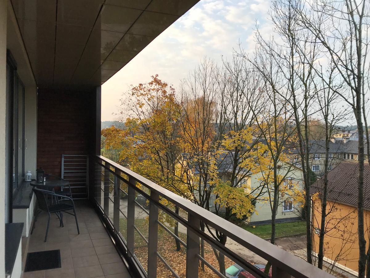 Lux Apartment Druskininkai Dış mekan fotoğraf