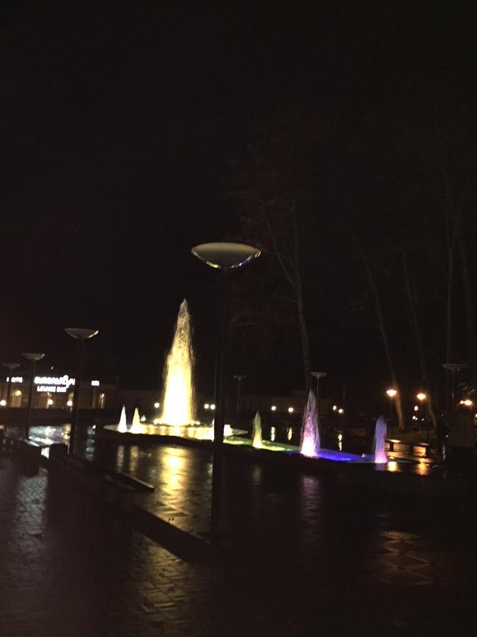 Lux Apartment Druskininkai Dış mekan fotoğraf