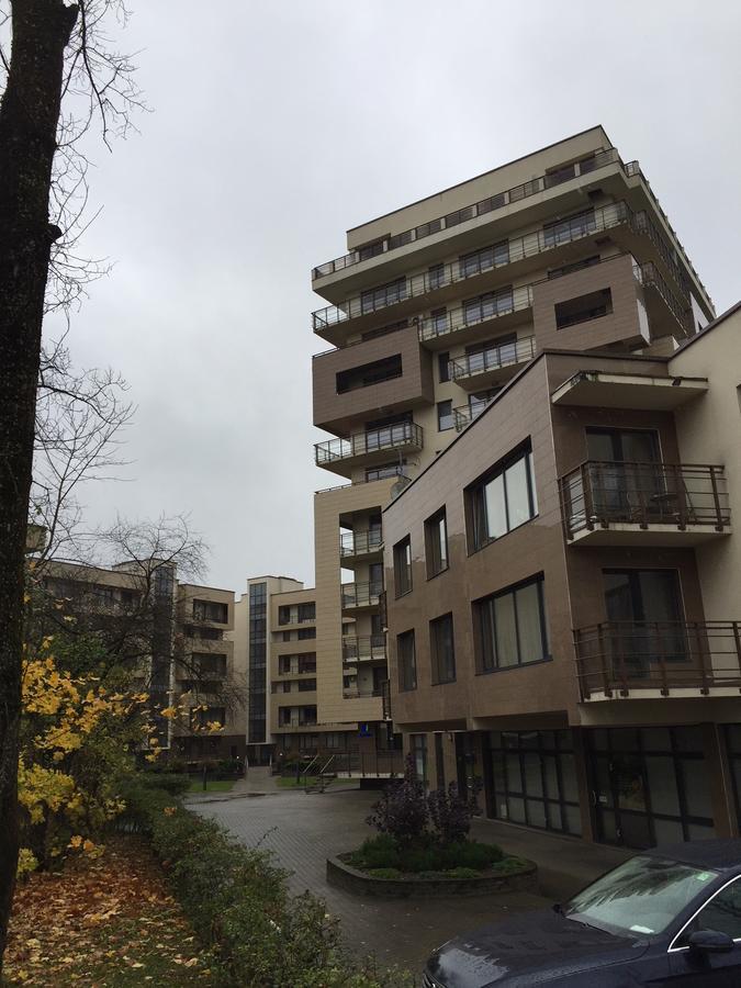 Lux Apartment Druskininkai Dış mekan fotoğraf