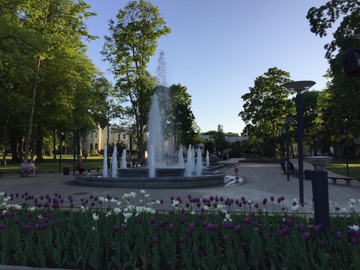 Lux Apartment Druskininkai Dış mekan fotoğraf